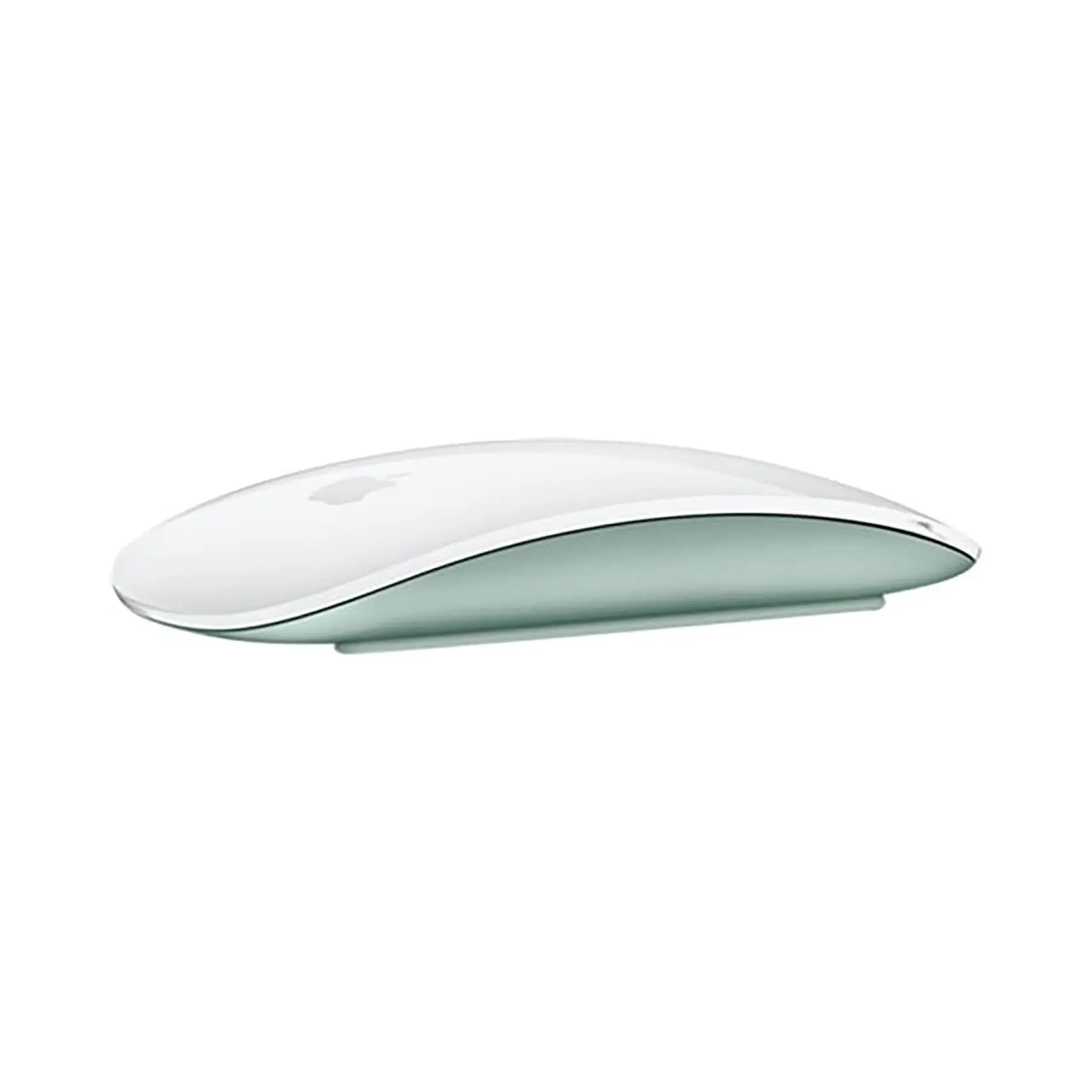img-Accessories-728620.jpg