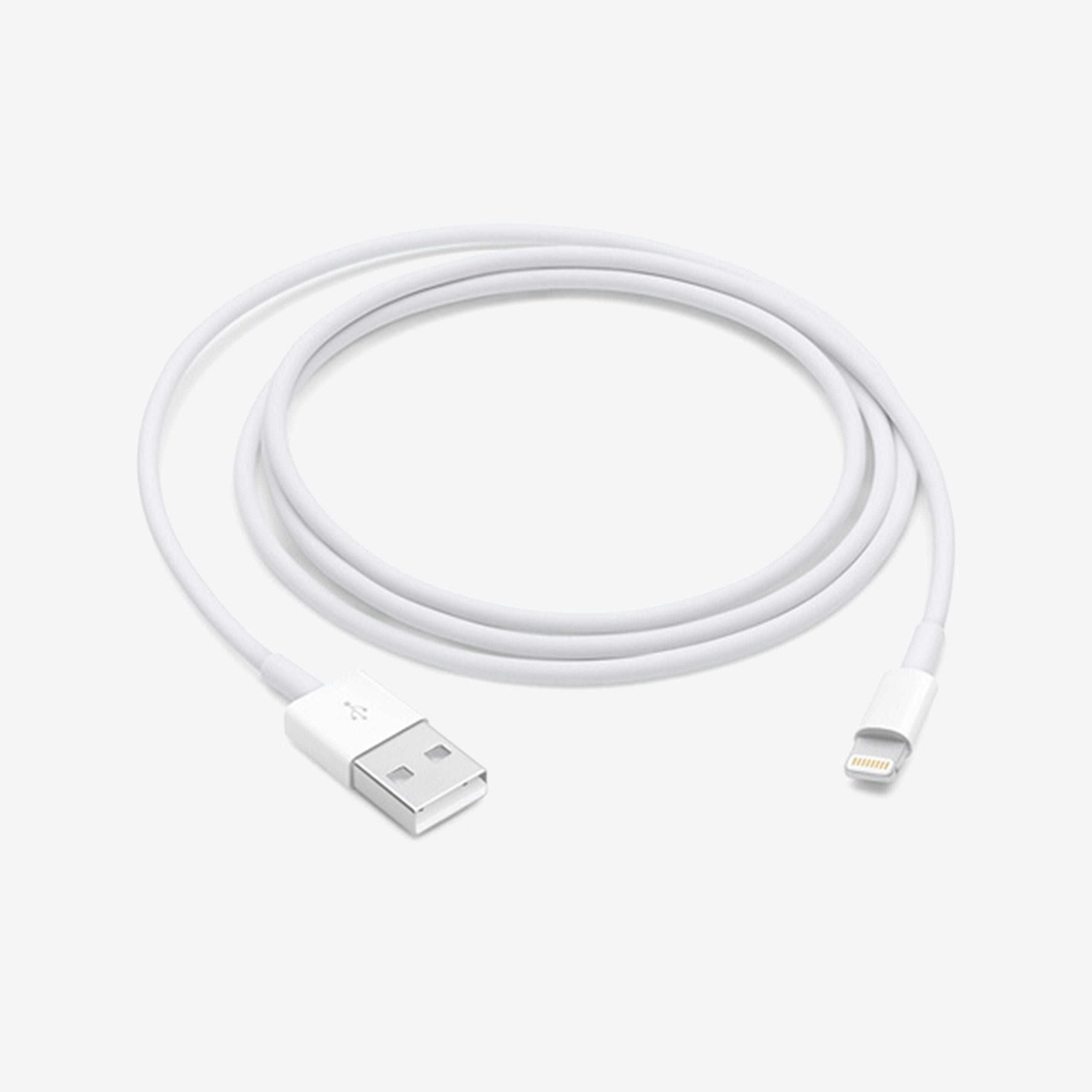 1 x 1x Lightning Cable