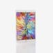 img-iPad-49880.jpg